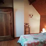 In Near Forest And Sea