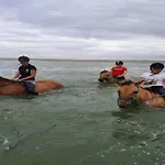 In Near Forest And Sea Сasa de vacaciones *