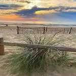 In Near Forest And Sea *