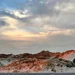 In Near Forest And Sea