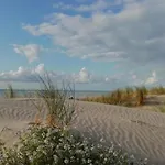 In Near Forest And Sea Ferienhaus